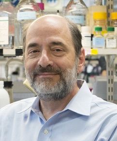Michael Greenberg